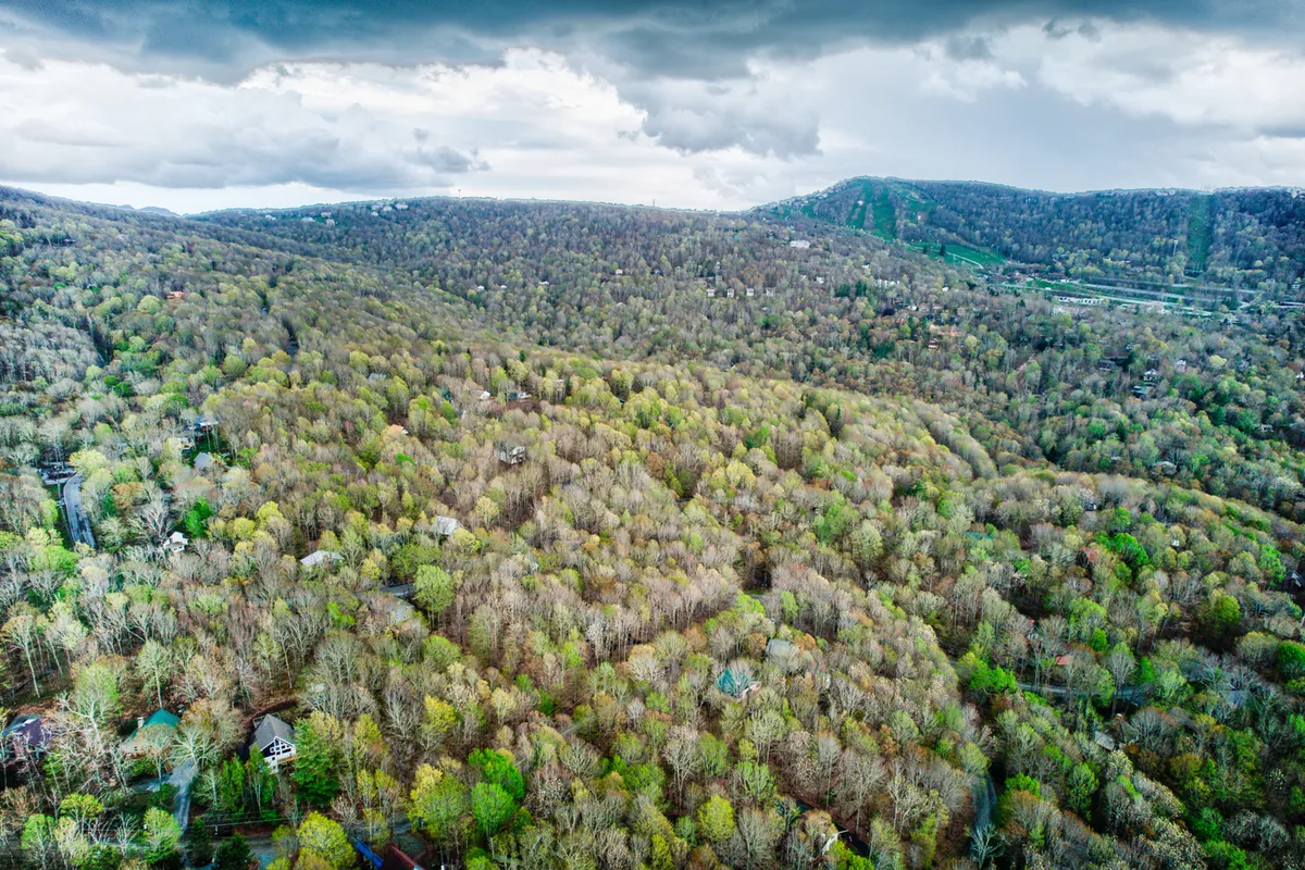 This image captures sweeping views of rolling hills and dense forest, dotted with scattered homes under an overcast sky. The scene evokes the natural mountain scenery surrounding Beech Mountain and hints at the outdoor adventures awaiting nearby.